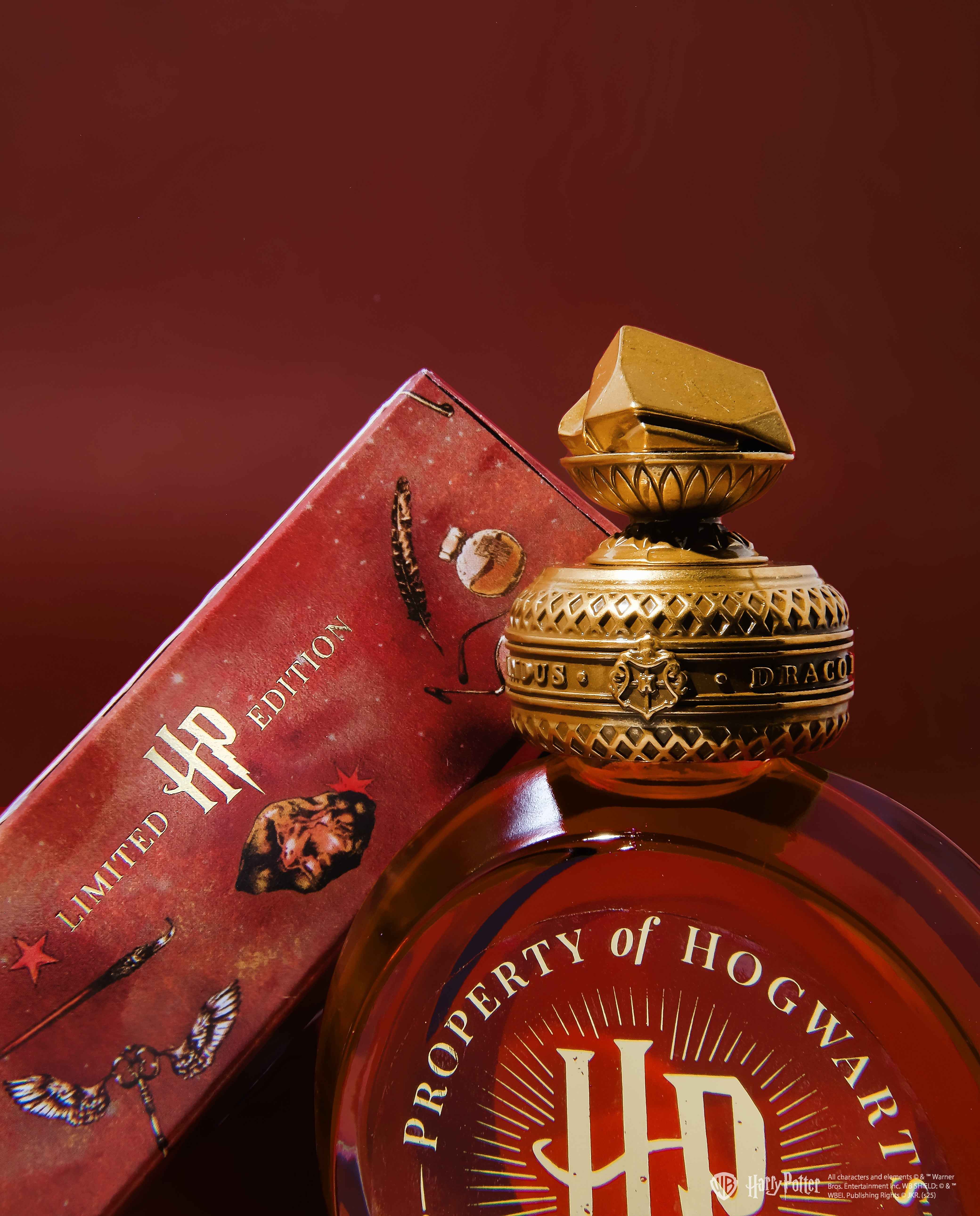 Warner Bros. | Harry Potter | Property of Hogwarts™ 38ml Ink | Limited Edition | The Sorcerer's Stone - Image 12